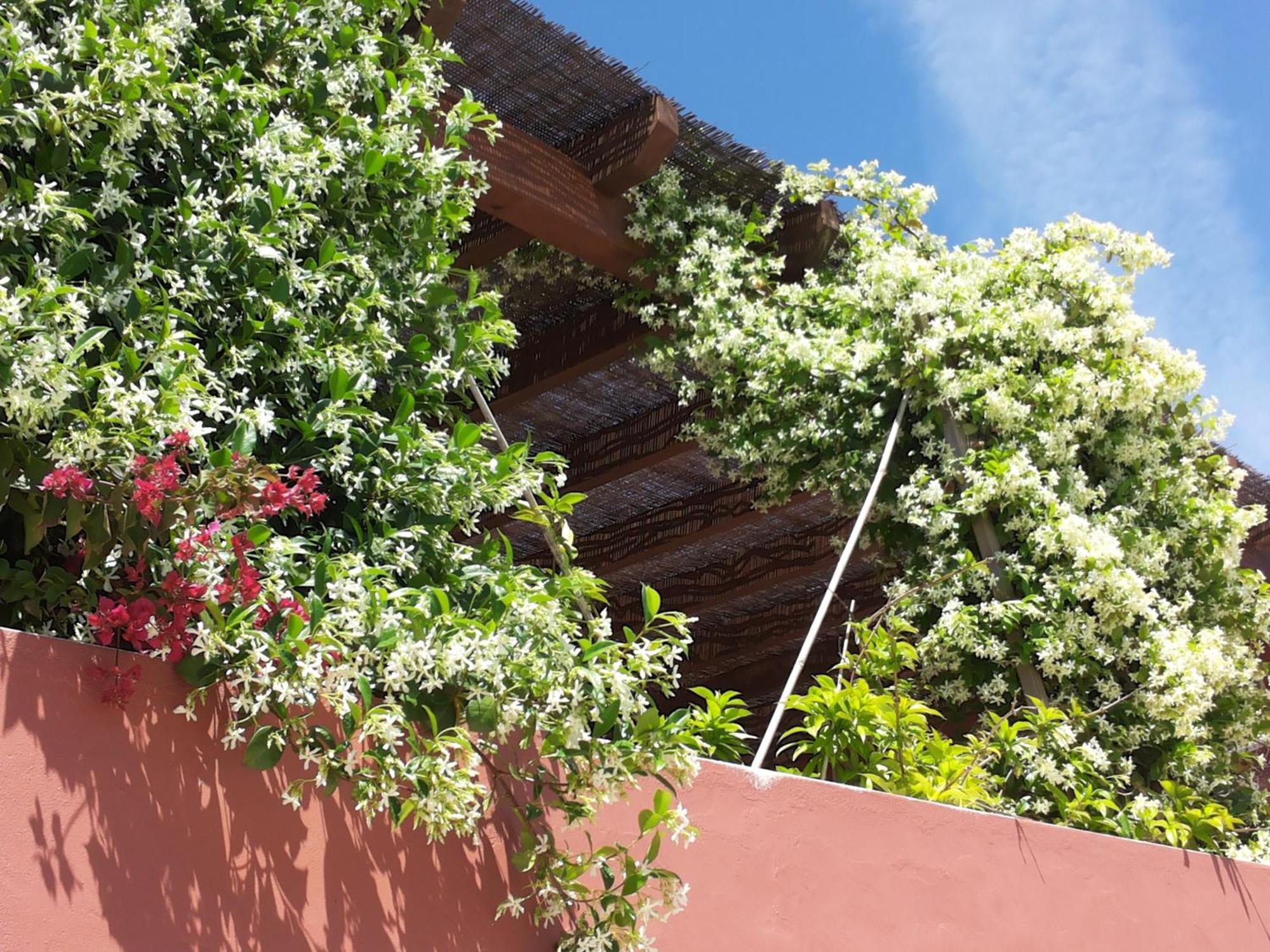 Bed and Breakfast Gato Preto De Silves - Adults Only Exterior foto